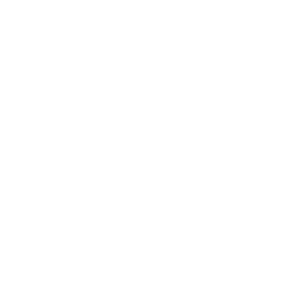 house-chimney (1)