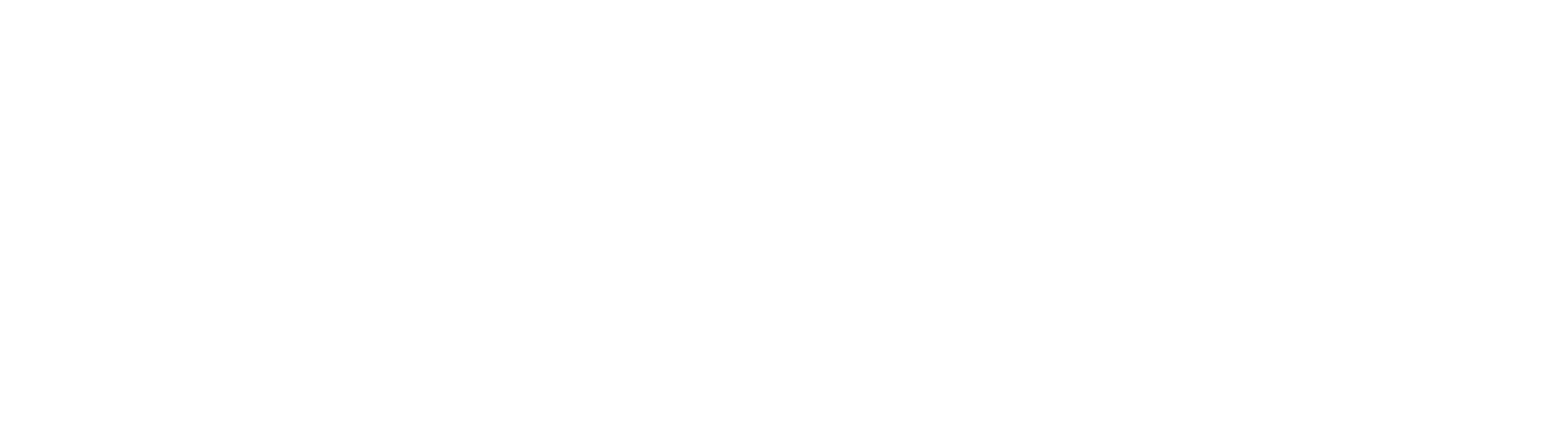 logo white 2