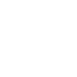 phone-flip